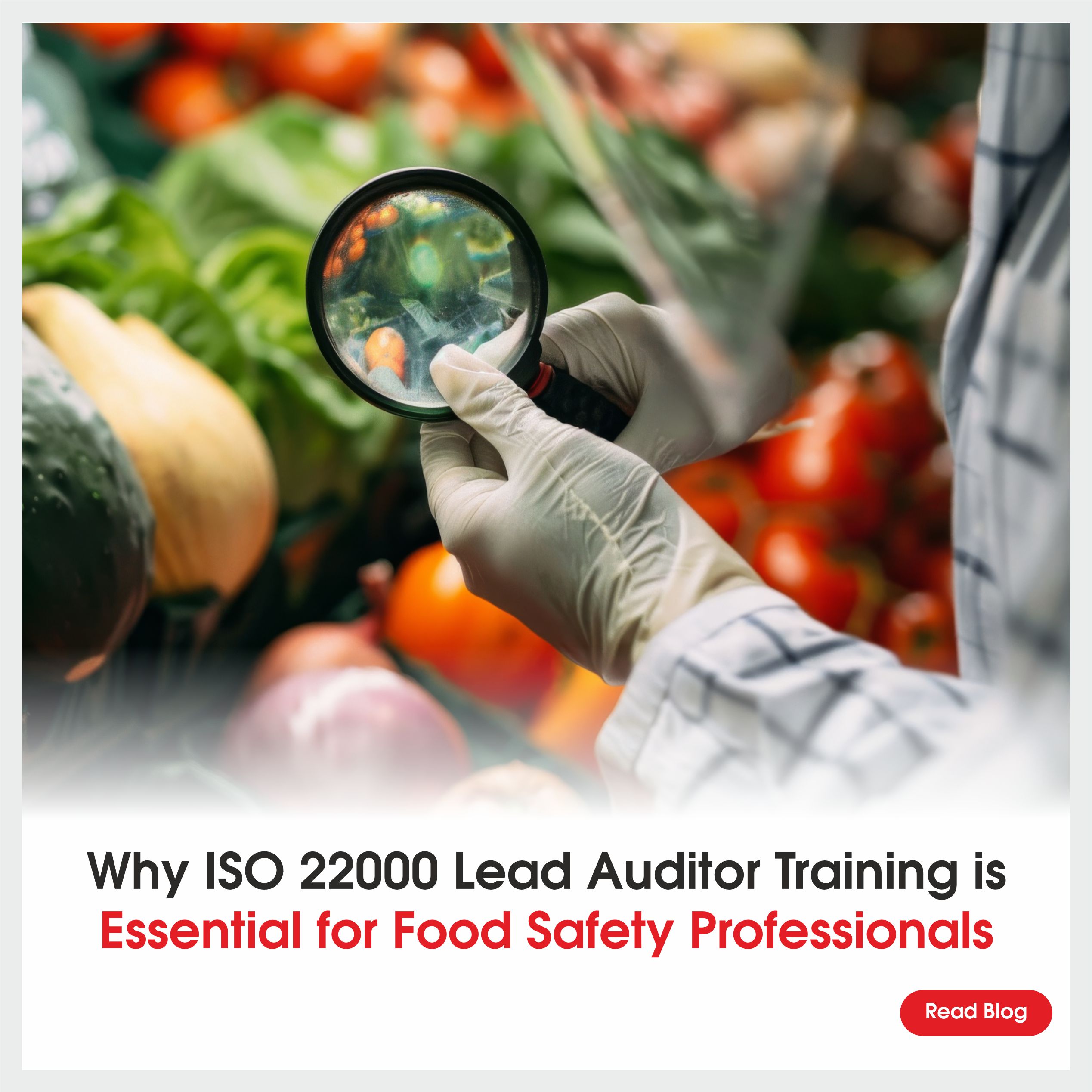 Why ISO 22000:2018 Lead Auditor Training Is Essential for Food Safety Professionals